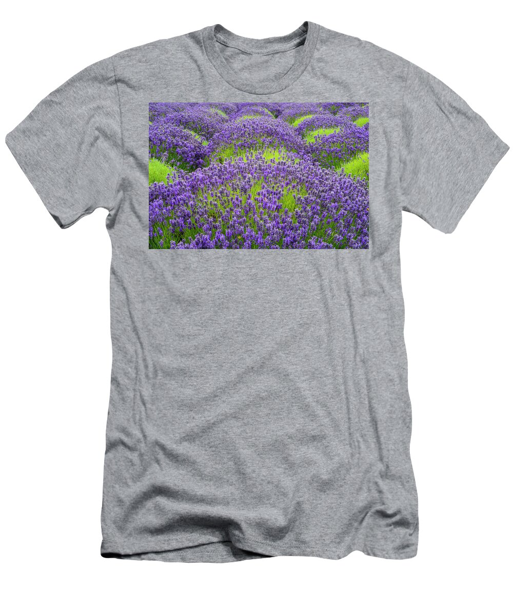 Flowers T-Shirt featuring the digital art Lavender in blooming by Michael Lee