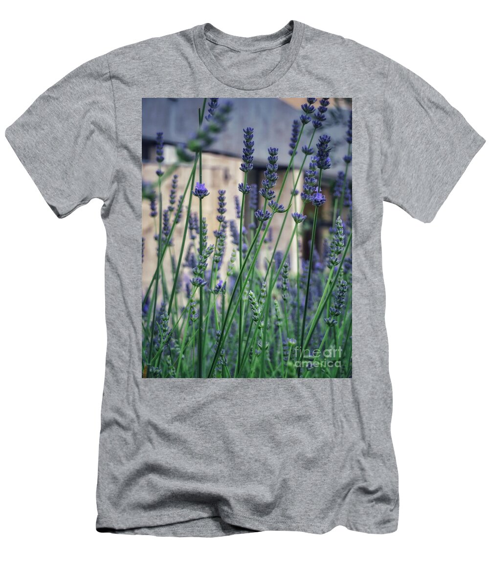 Lavender T-Shirt featuring the photograph Lavender in Nice by Diana Rajala