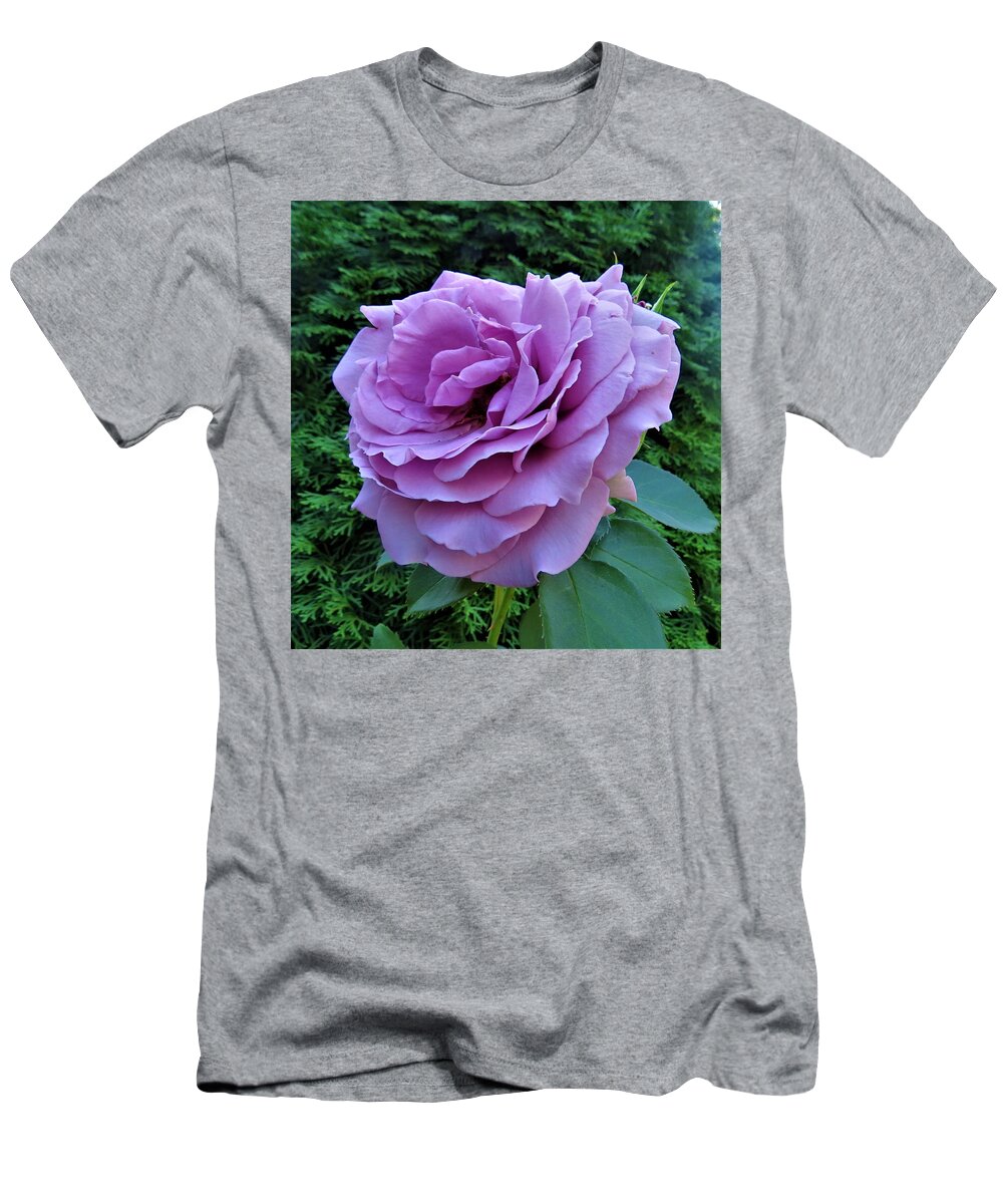 Flower T-Shirt featuring the photograph Lavender Rose by Jeanette Oberholtzer