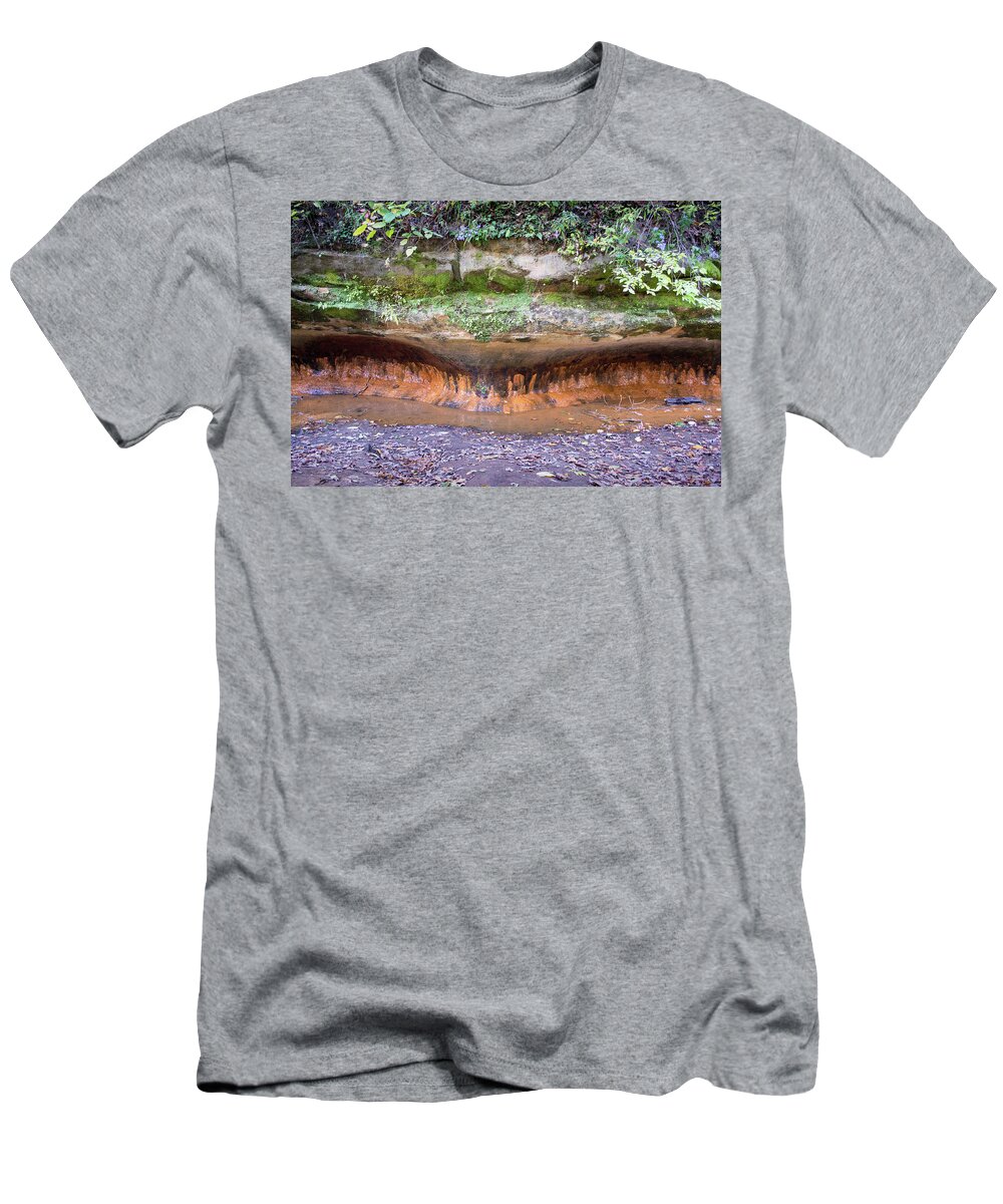 Starved Rock State Park T-Shirt featuring the photograph Layered Up by Lisa Blake