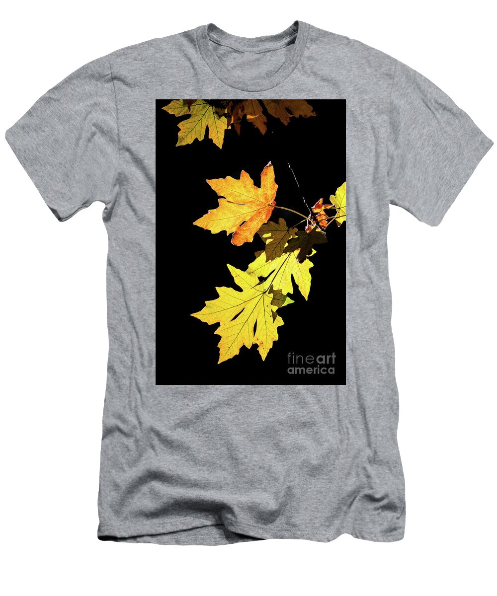 Leaves T-Shirt featuring the photograph Leaves On Black by Mimi Ditchie