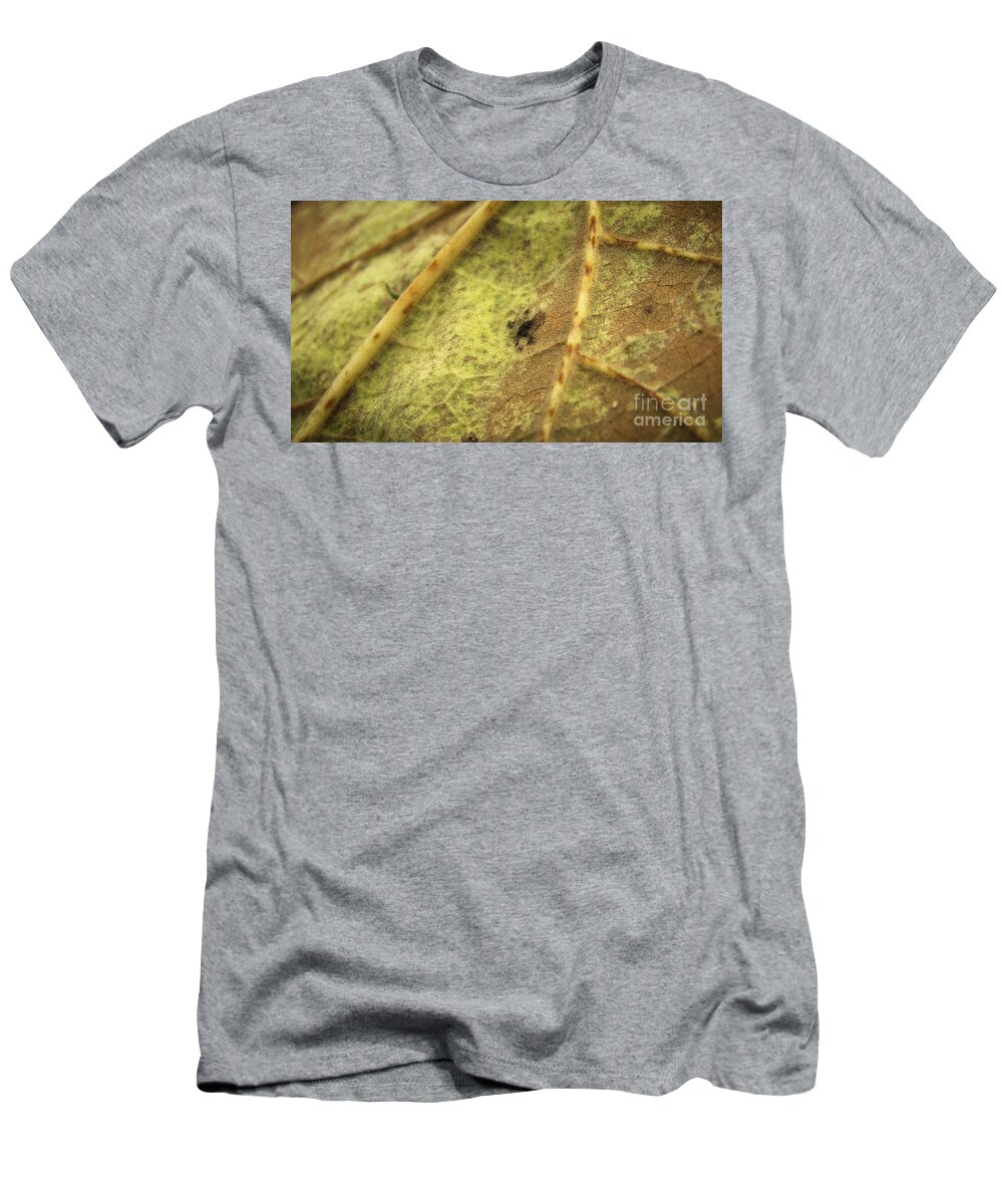 Leaf T-Shirt featuring the photograph Leaving Summer 2 by Robert Knight