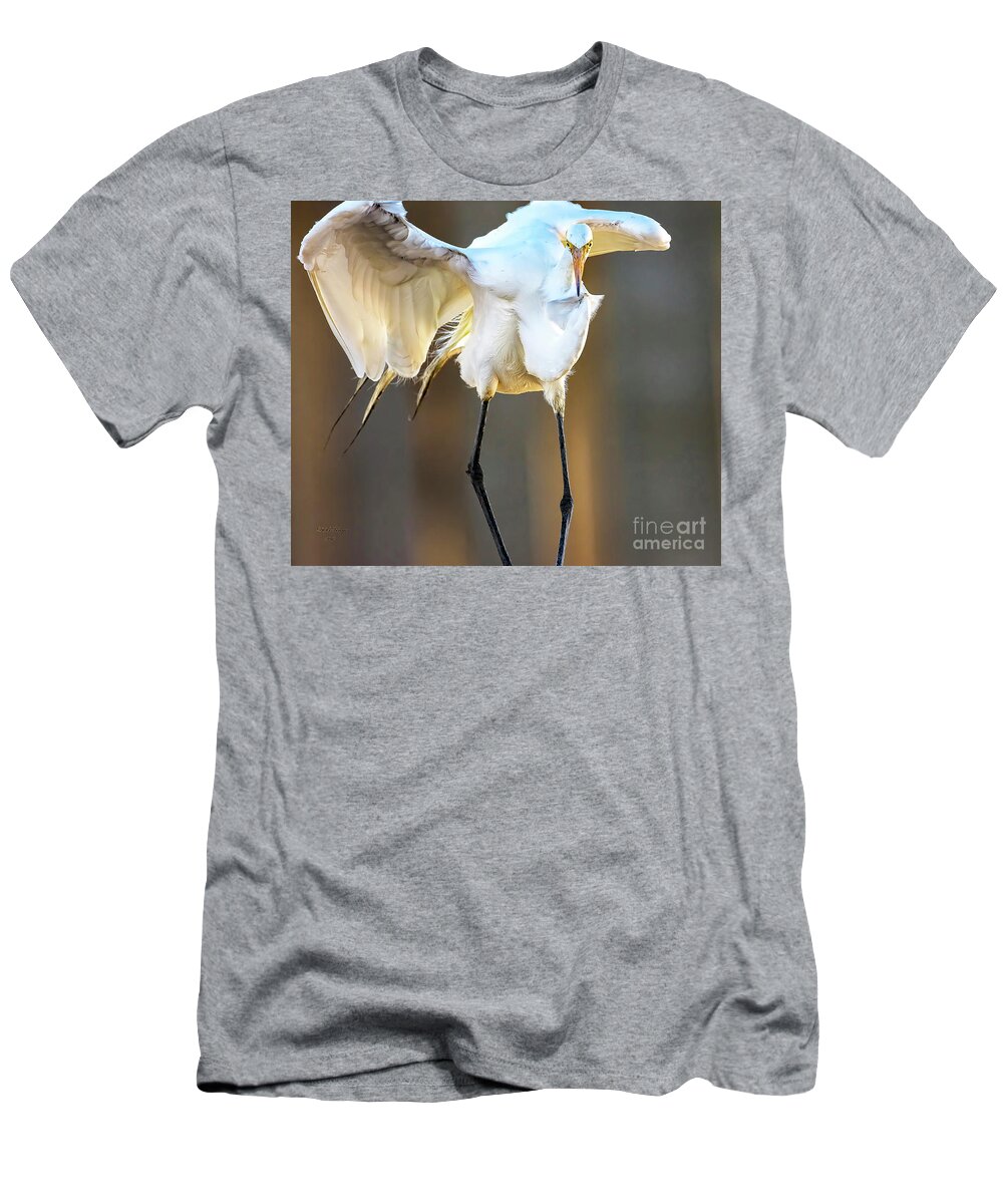 Egrets T-Shirt featuring the photograph Legs by DB Hayes