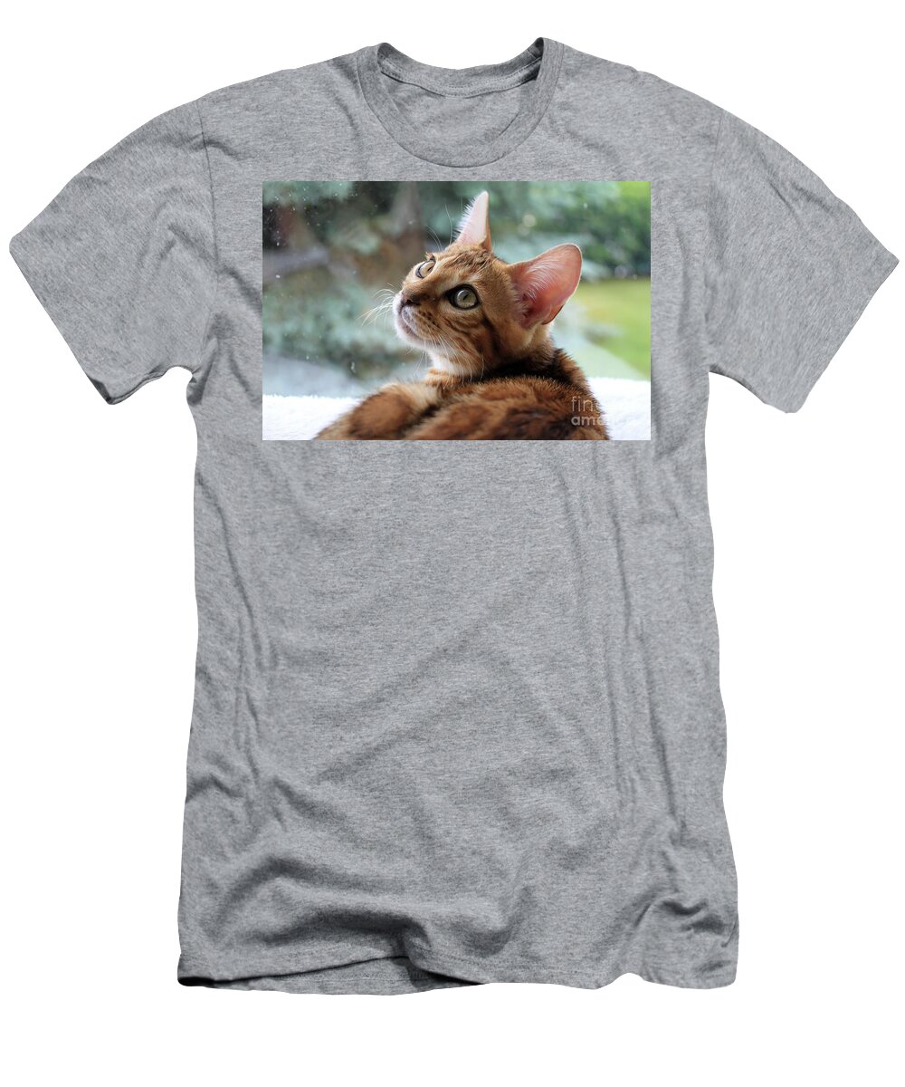 Animal T-Shirt featuring the photograph Leo The Bengal by Teresa Zieba