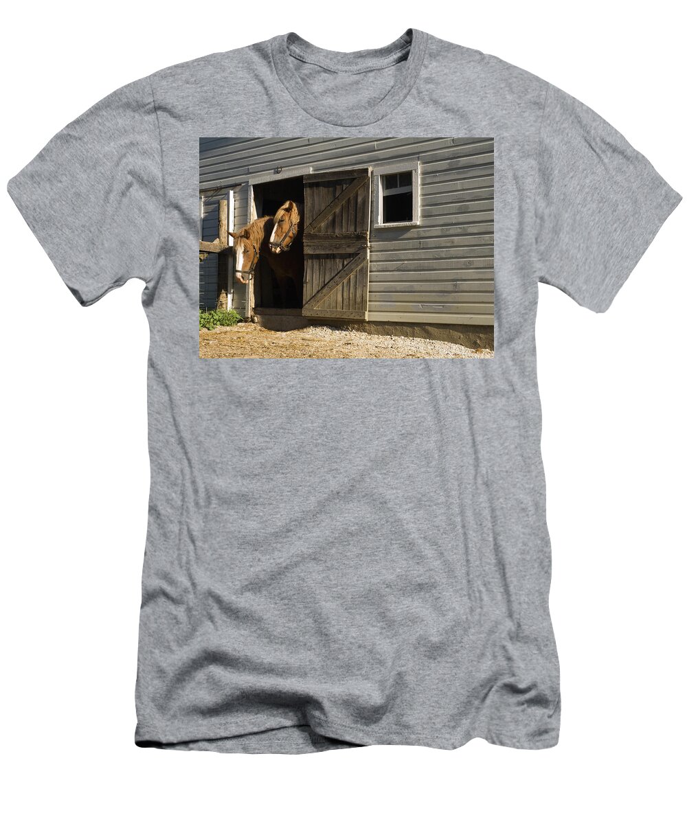 Two Horses Standing Inside Narrow Barn Door T-Shirt featuring the photograph Let's Go Out by Sally Weigand