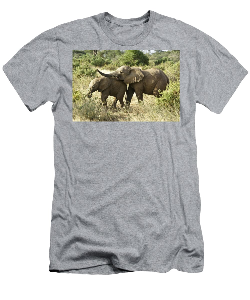 Africa T-Shirt featuring the photograph Let's Play by Michele Burgess