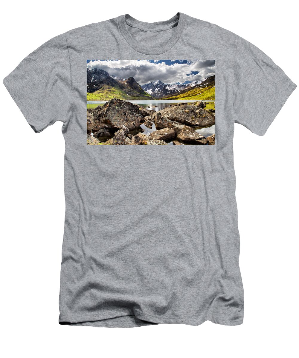 Alaska T-Shirt featuring the photograph Lichen View by Ed Boudreau
