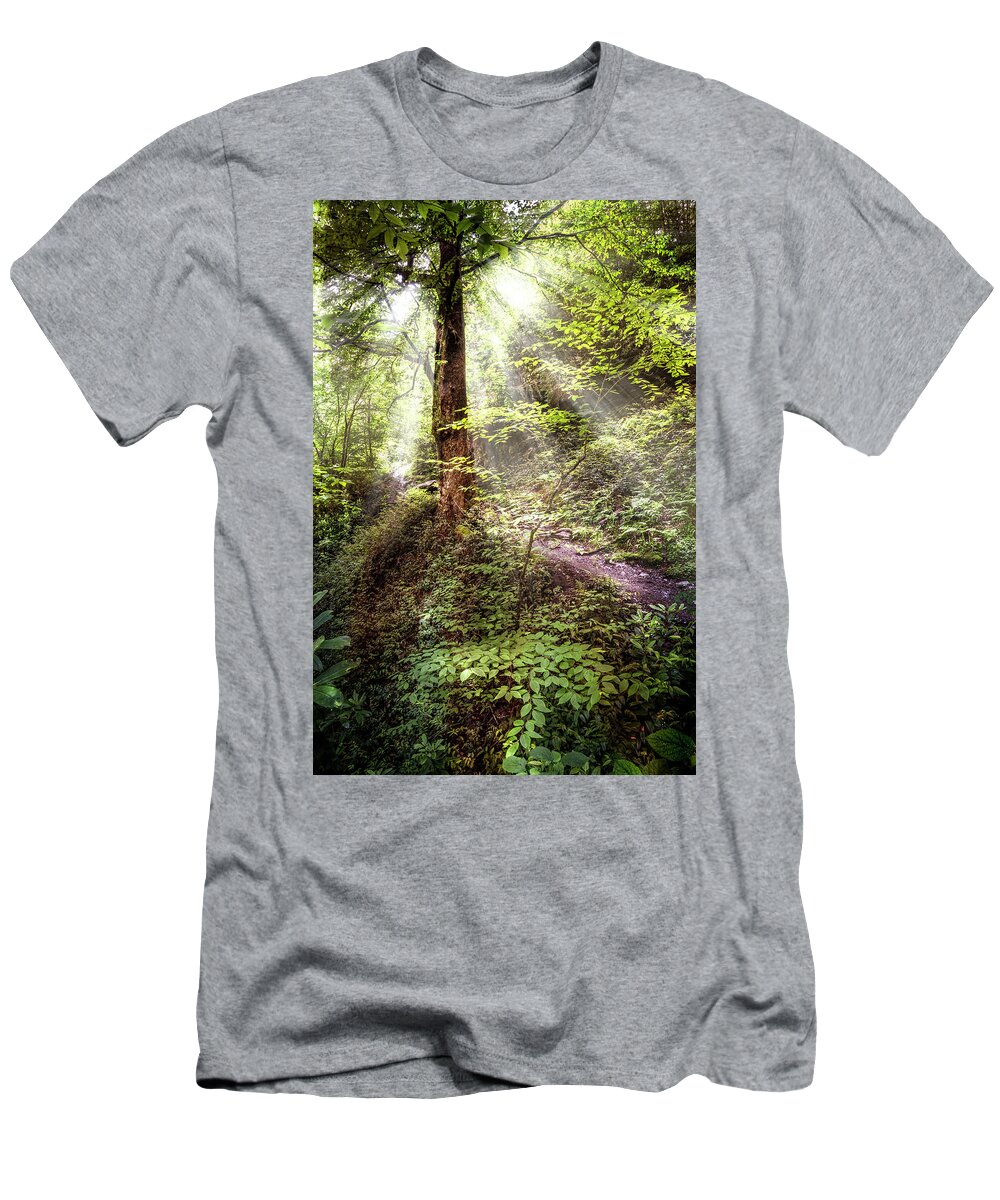 Appalachia T-Shirt featuring the photograph Light along the Trail by Debra and Dave Vanderlaan