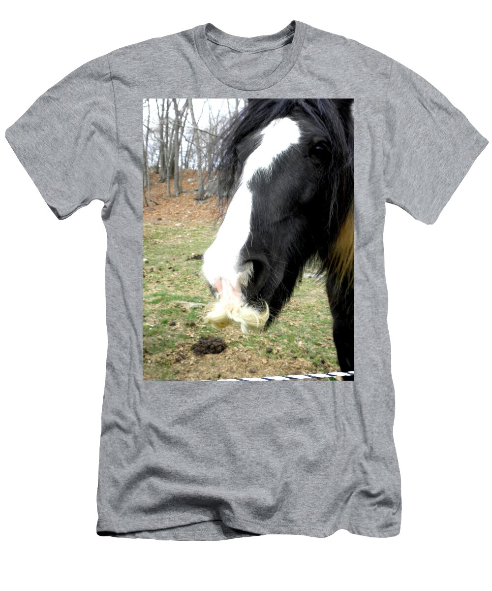 Gypsy Vanner Horse T-Shirt featuring the photograph Like My Stache by Kim Galluzzo