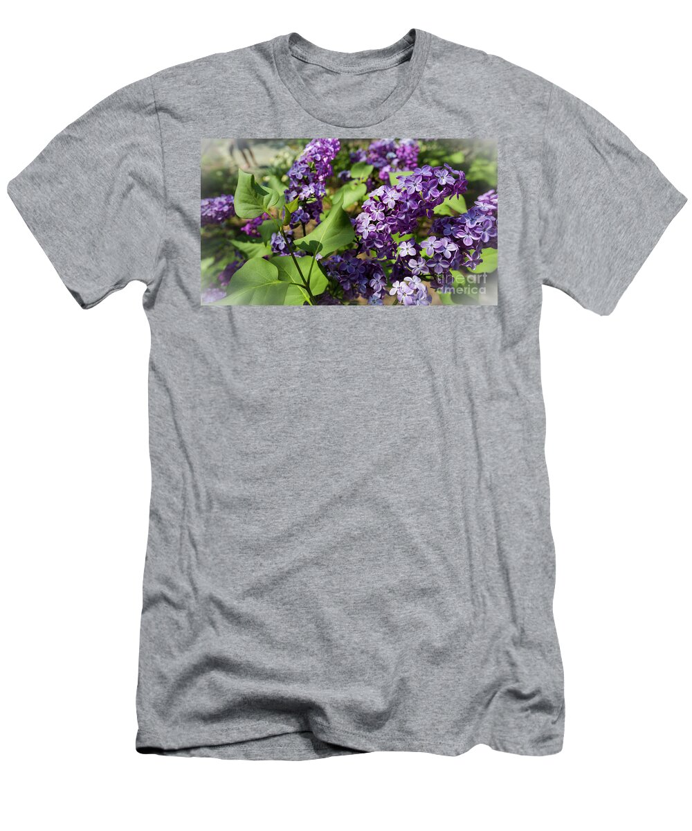 National Arboretum T-Shirt featuring the photograph Lilac by Agnes Caruso