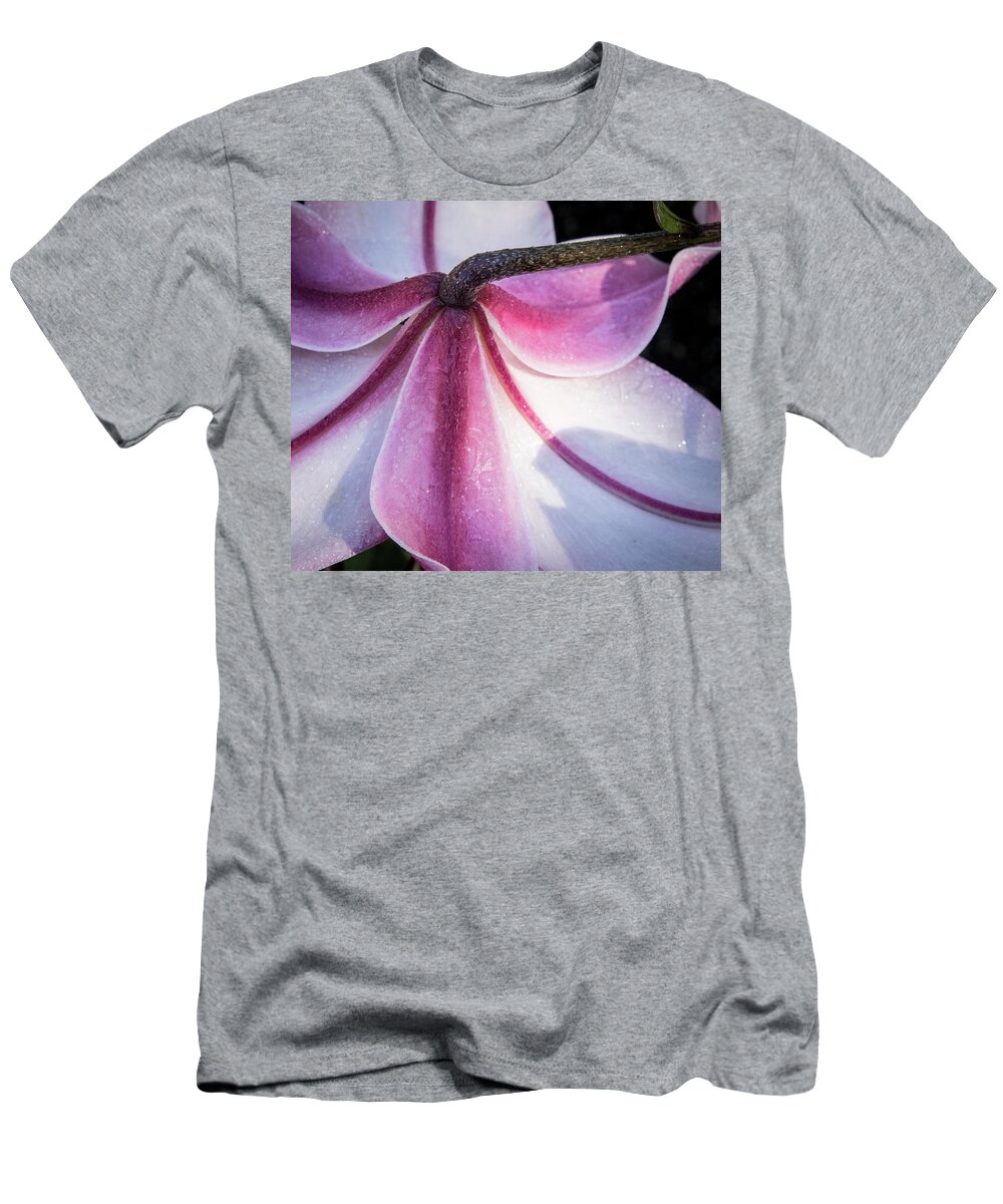 Jean Noren T-Shirt featuring the photograph Lilies Backside by Jean Noren