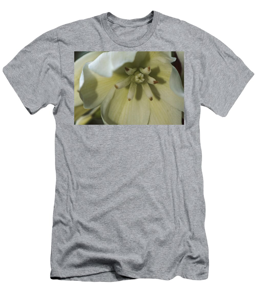 Lily T-Shirt featuring the photograph Lily by Jayne Gohr