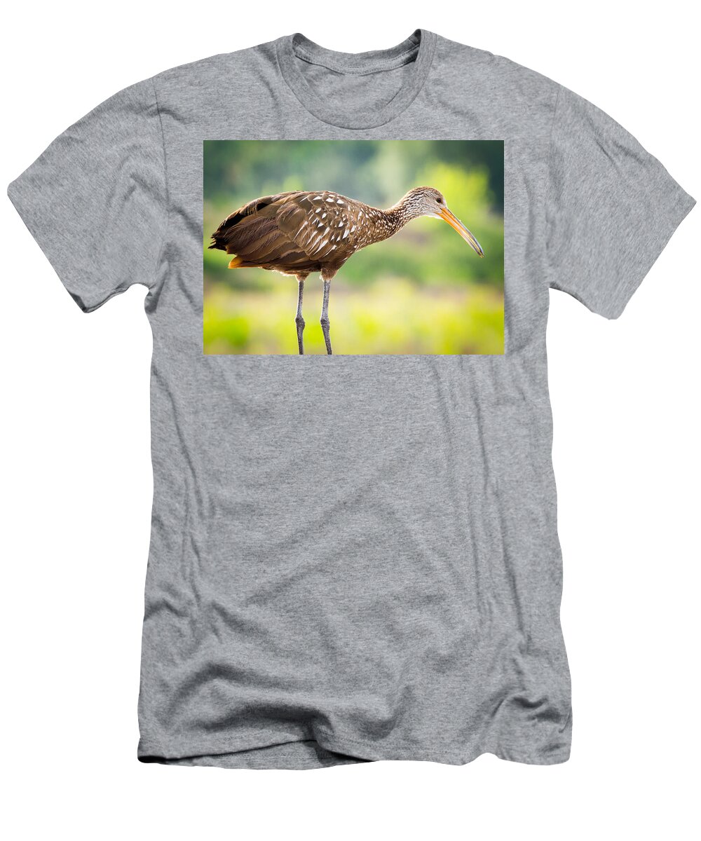 Celery Fields T-Shirt featuring the photograph Limpkin at Celery Fields by Richard Goldman