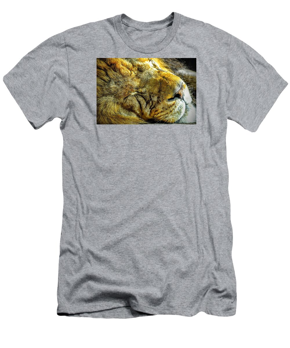 Lion T-Shirt featuring the photograph Lion Around by Michael Brungardt
