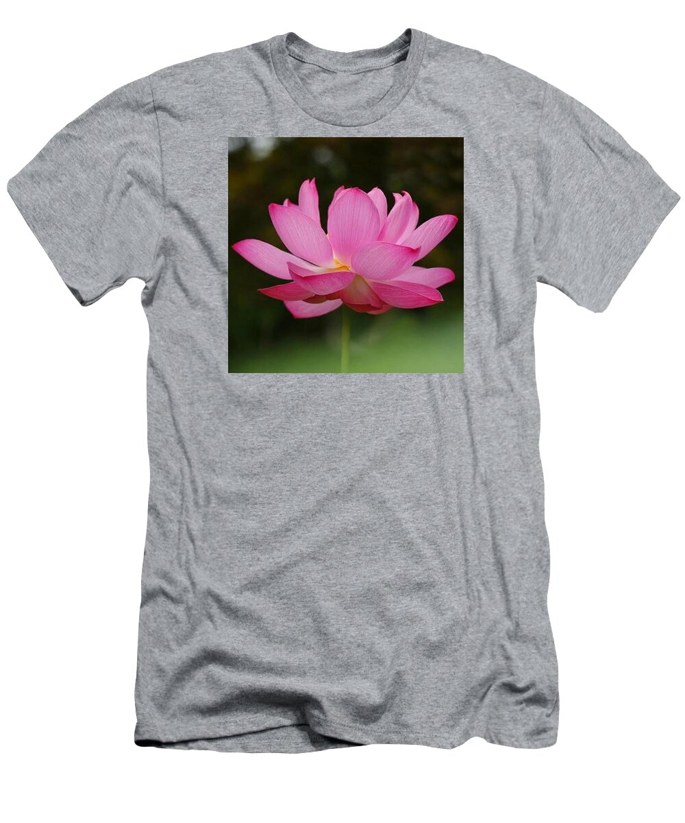 Pink T-Shirt featuring the photograph Lipstick Pink by Carolyn Mickulas