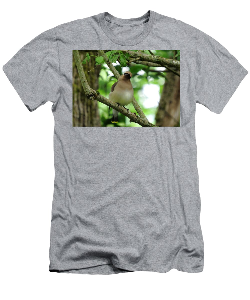 Cedar Waxwing T-Shirt featuring the photograph Little Flirt by I'ina Van Lawick
