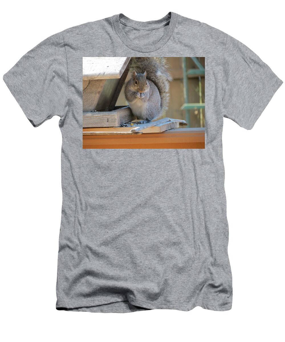 Squirrel T-Shirt featuring the photograph Little Gray Squirrel Eating by Kay Novy