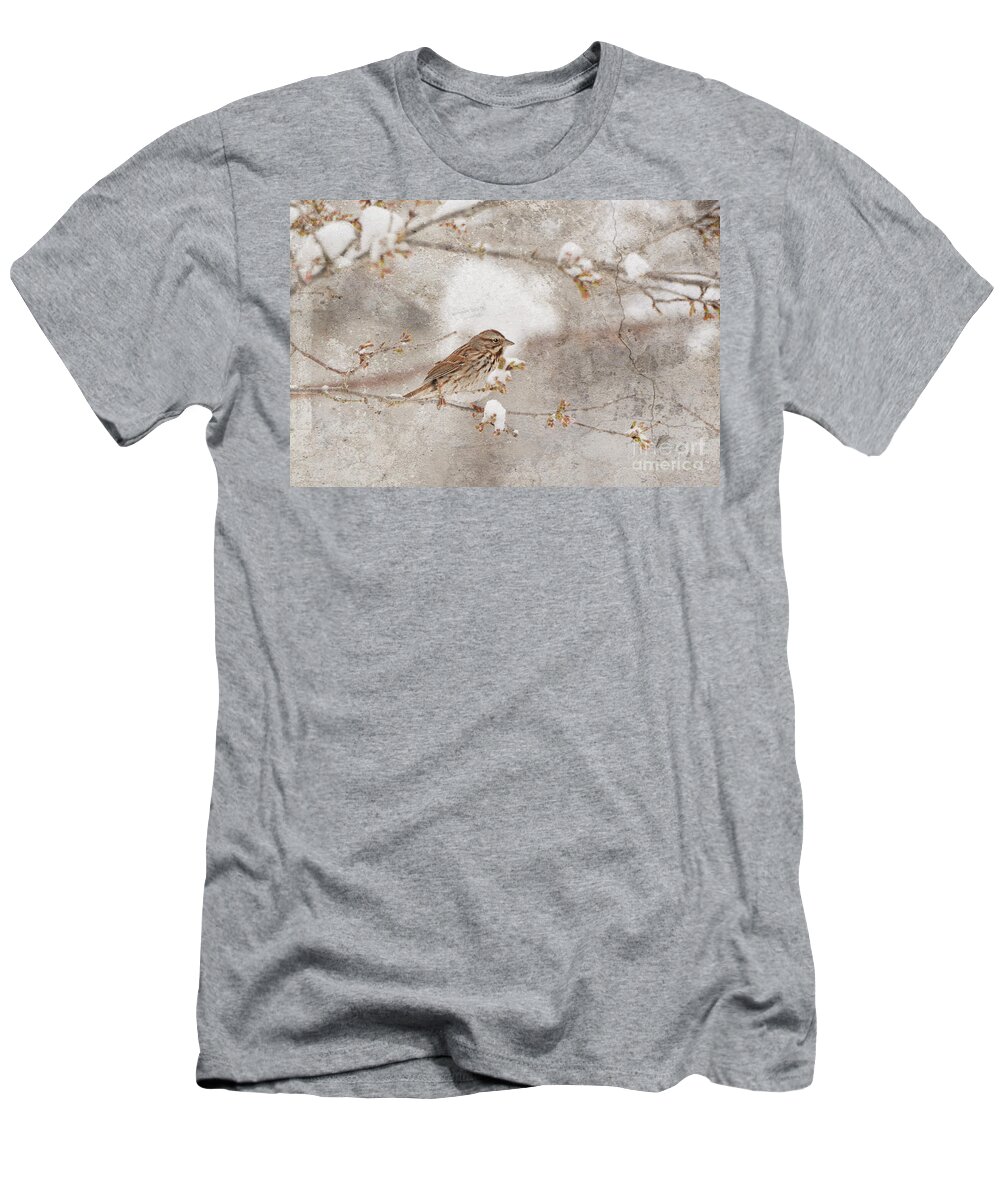 Texture T-Shirt featuring the photograph Little House Sparrow by Lila Fisher-Wenzel