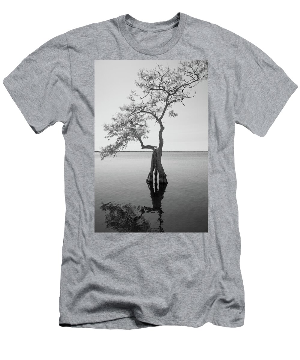 Bald Cypress T-Shirt featuring the photograph Blue Cypress by John Black