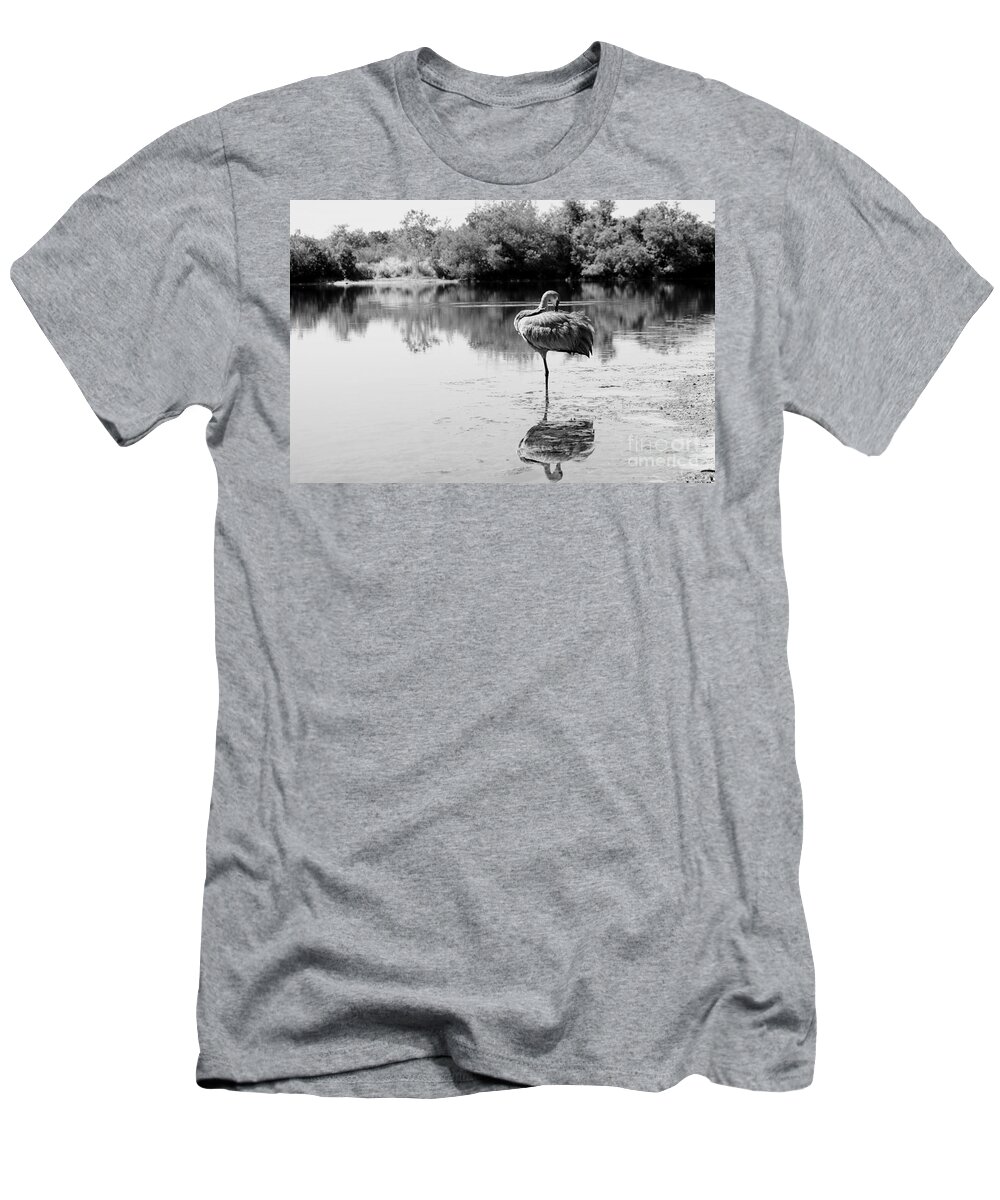 Sandhill T-Shirt featuring the photograph Lone Sandhill in Pond Black and White by Carol Groenen