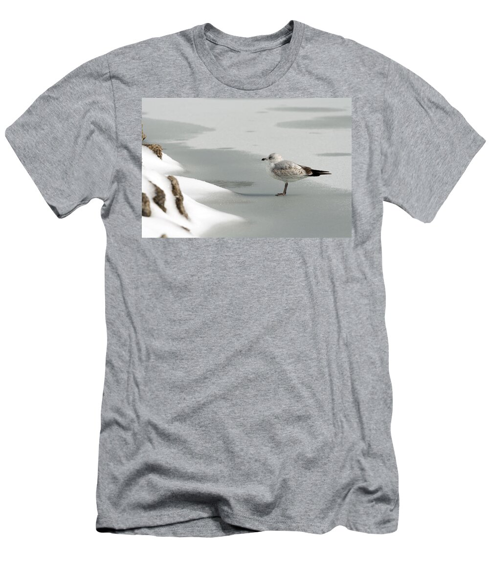 Atop T-Shirt featuring the photograph Lone Seagull by Travis Rogers