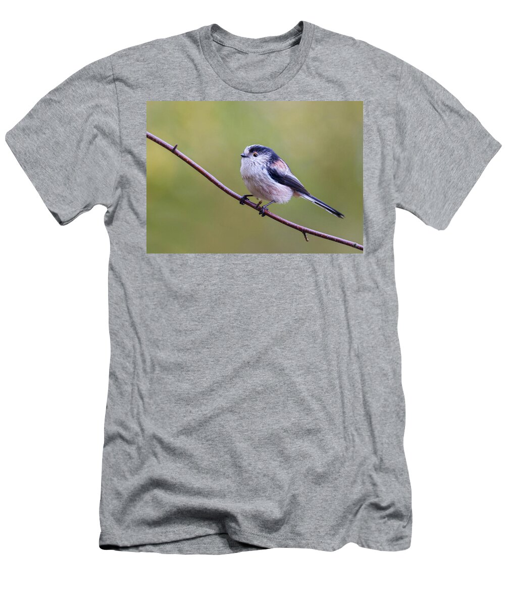 Long Tailed Tit T-Shirt featuring the photograph Long Tailed Tit  Aegithalos caudatus by Chris Smith
