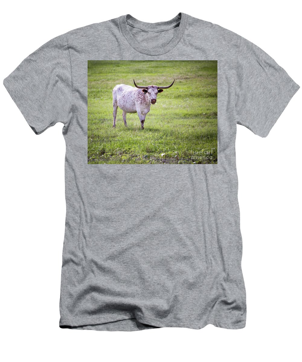 Longhorn T-Shirt featuring the photograph Longhorn 3 by Anthony Michael Bonafede