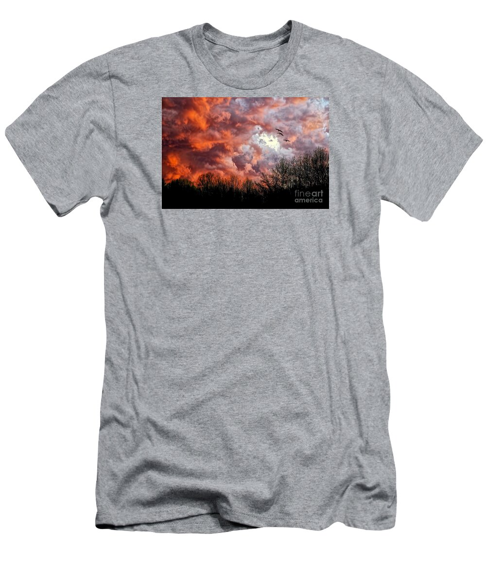 Sunset T-Shirt featuring the photograph Looking For Trouble by Lois Bryan