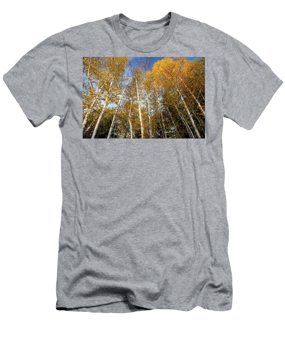 Rangeley T-Shirt featuring the photograph Looking up by Darryl Hendricks