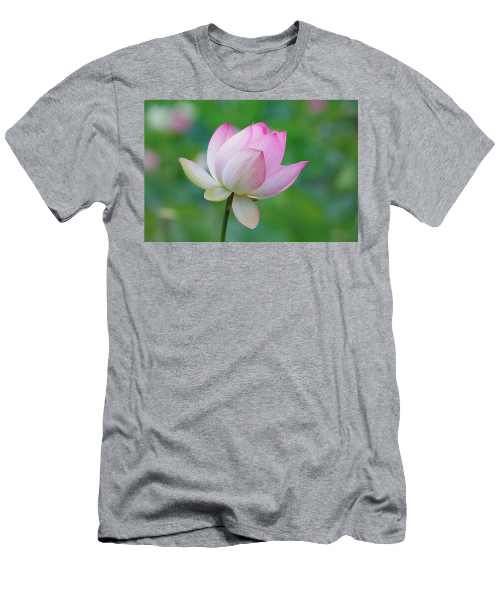 Lotus Flower T-Shirt featuring the photograph Lotus Bloom by Ram Vasudev