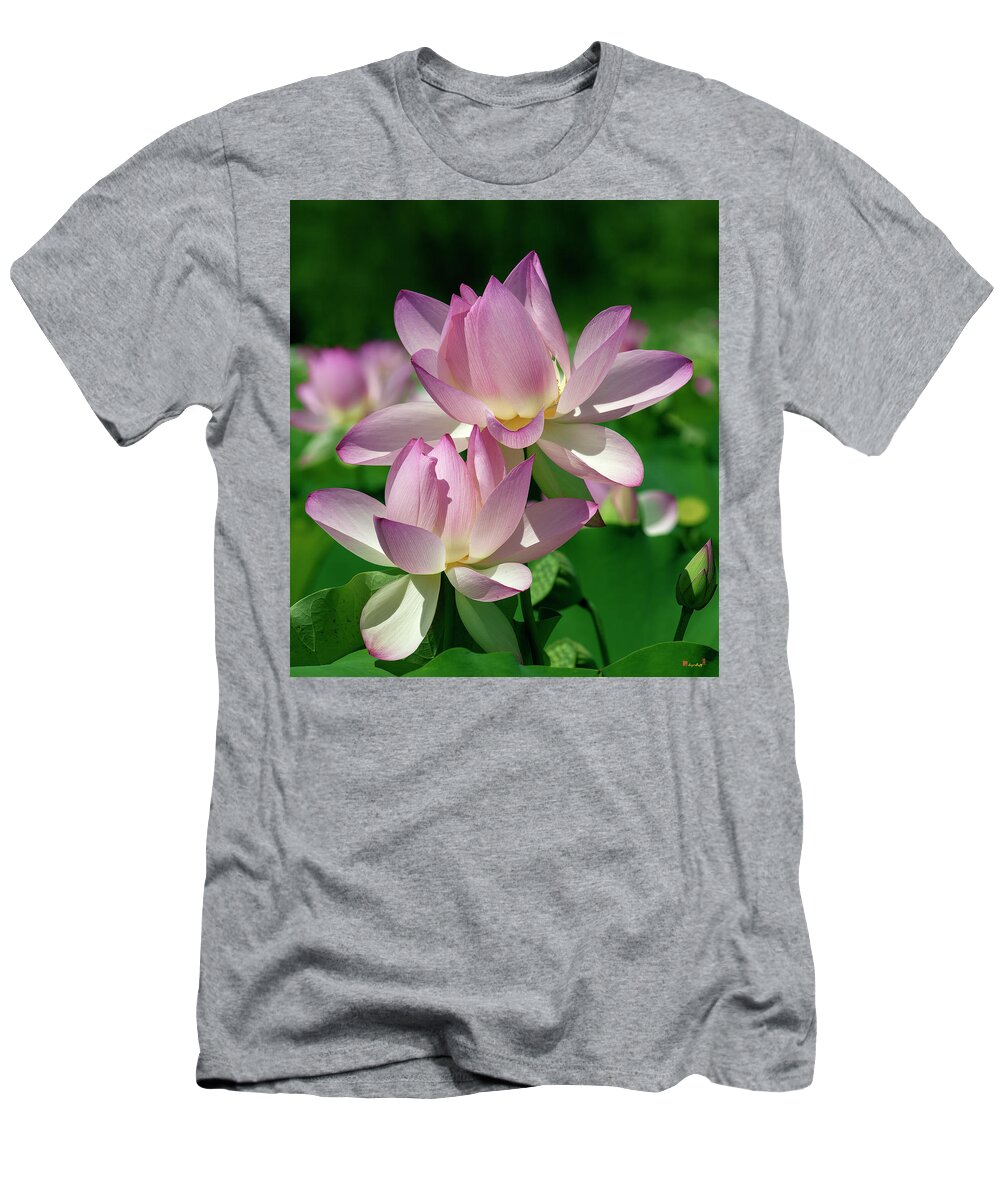 Lotus T-Shirt featuring the photograph Lotus--Sisters i DL0082 by Gerry Gantt