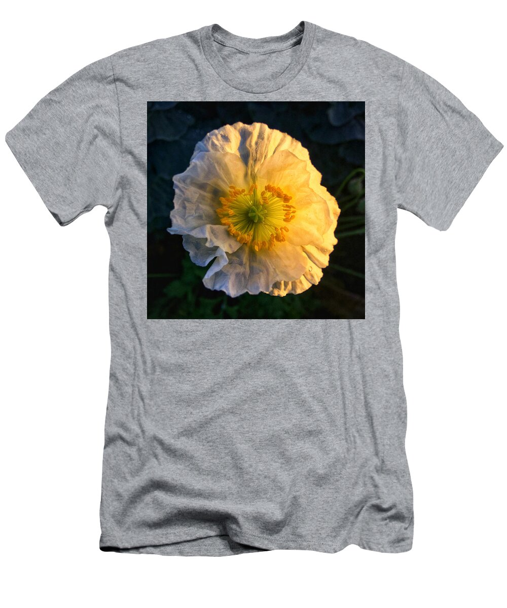 Macro T-Shirt featuring the photograph Love in the Morning by Nathan Little