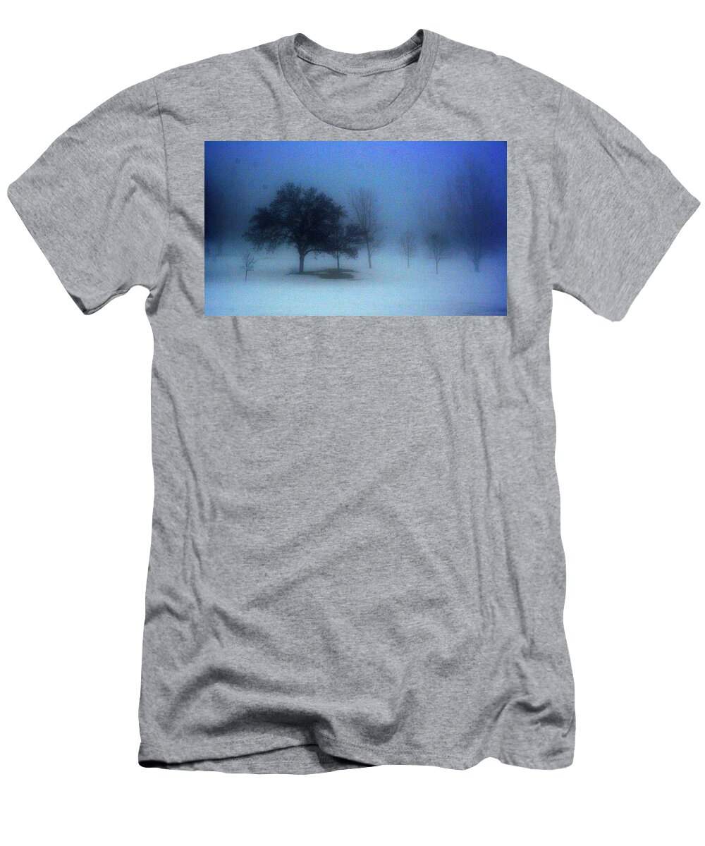 Landscape T-Shirt featuring the photograph Love me in the mist by Julie Lueders 