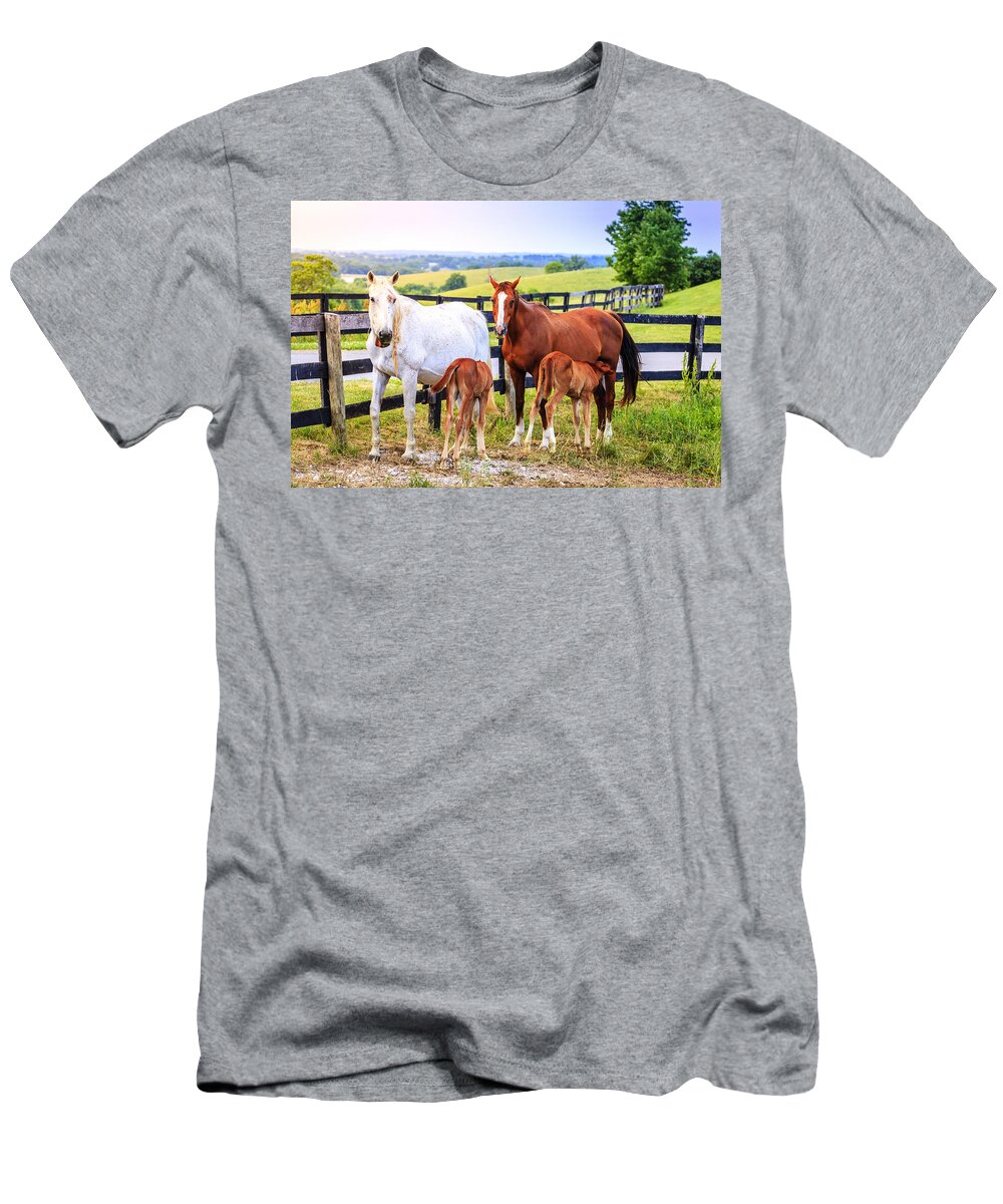 Bluegrass T-Shirt featuring the photograph Lunch time by Alexey Stiop