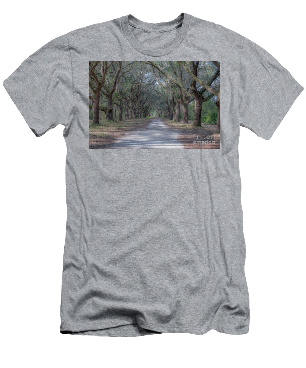Allee T-Shirt featuring the photograph Majestic Path by Dale Powell