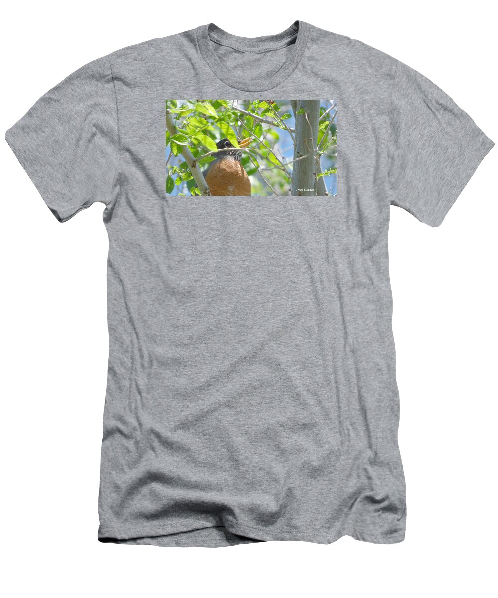 Ron Glaser T-Shirt featuring the photograph Mama Robin 2 by Ron Glaser