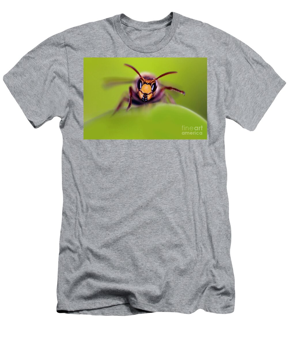 Insect T-Shirt featuring the photograph Mandibles by Michal Boubin