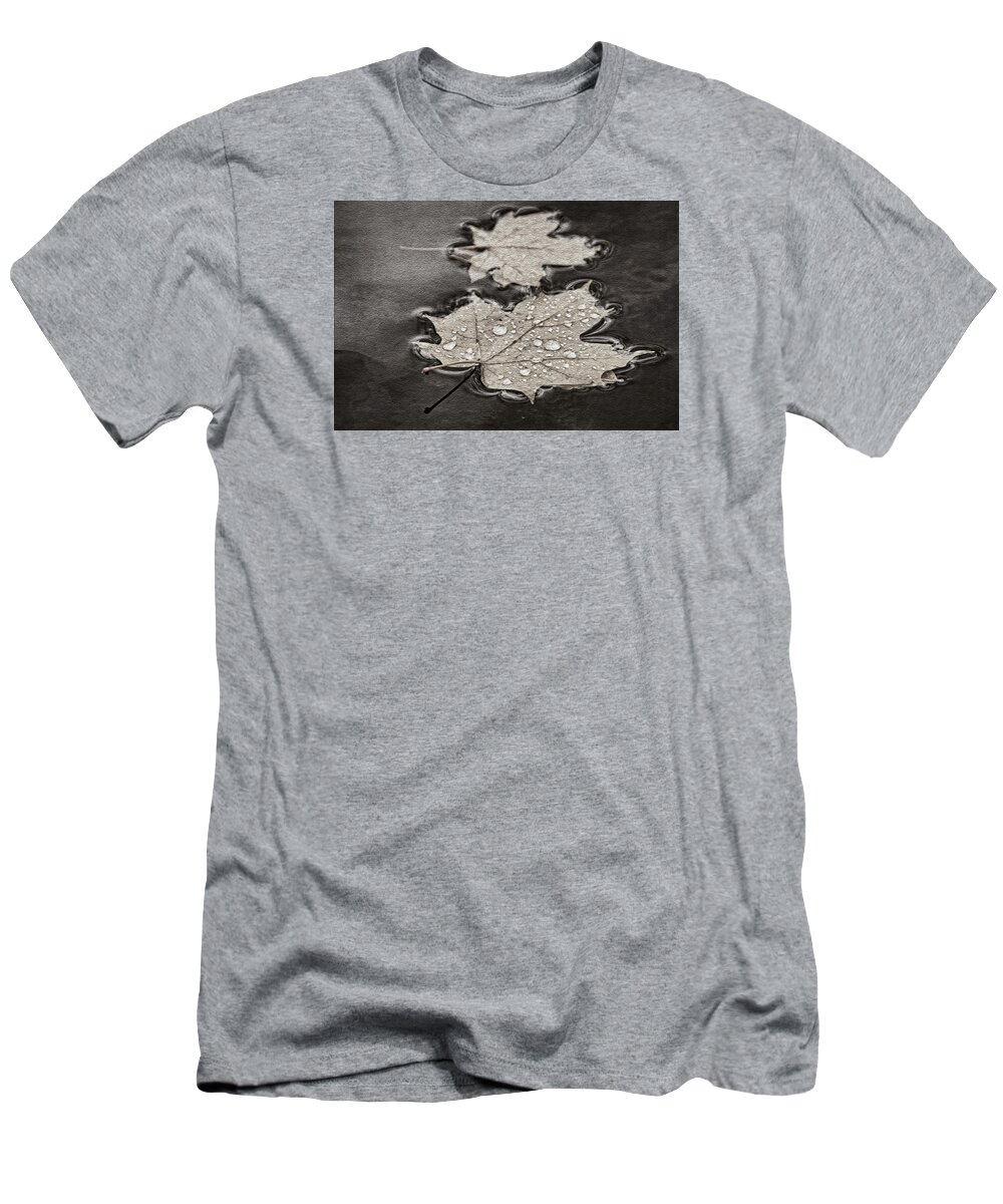 Maple Leaf T-Shirt featuring the photograph Maple Leaves and Drops BW by Theo O'Connor