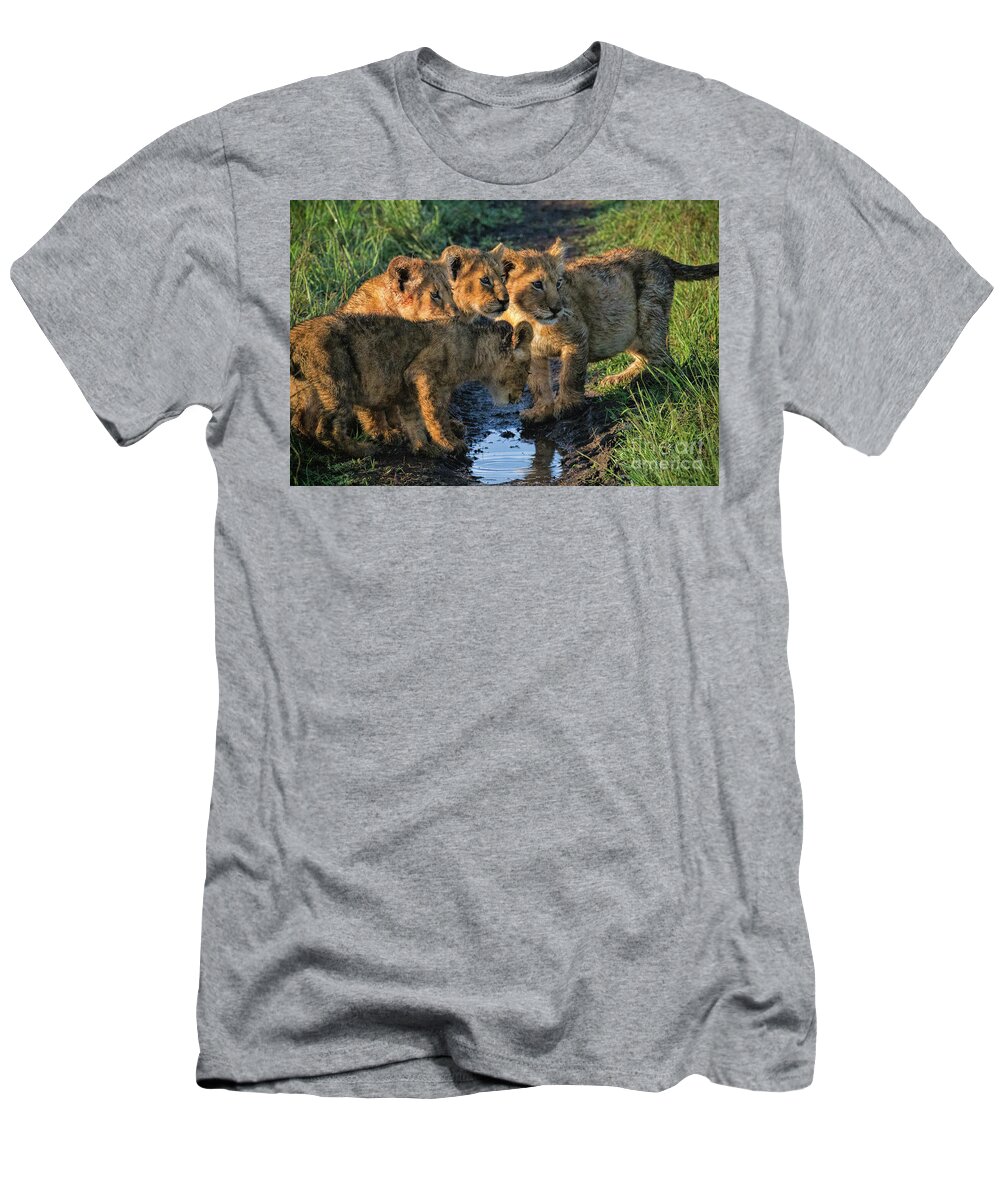 Masai Mara T-Shirt featuring the photograph Masai Mara Lion Cubs by Karen Lewis