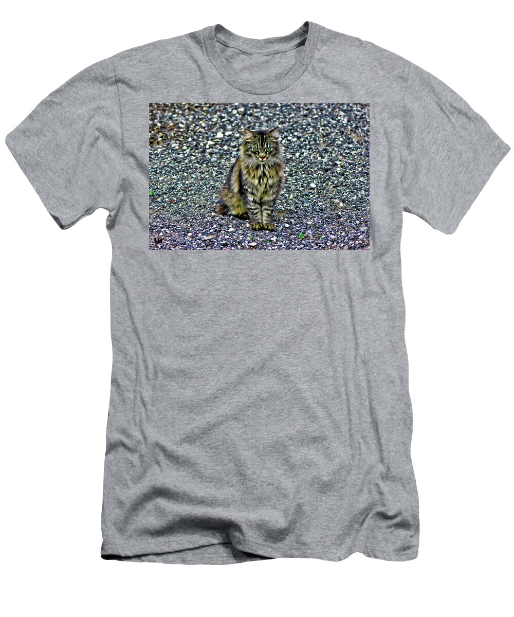 Main Coon T-Shirt featuring the photograph Mattie the Main Coon Cat by Gina O'Brien