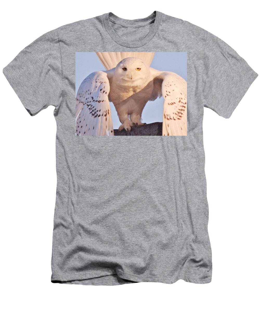 Snowy Owl At Rye Harbor Nh T-Shirt featuring the photograph Meet Roofus by Elaine Franklin