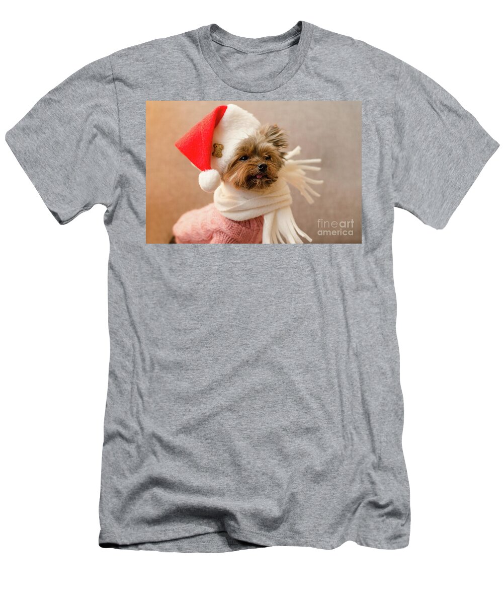 Yorkshere Terrier T-Shirt featuring the photograph Melanie in Christmas Hat by Irina ArchAngelSkaya