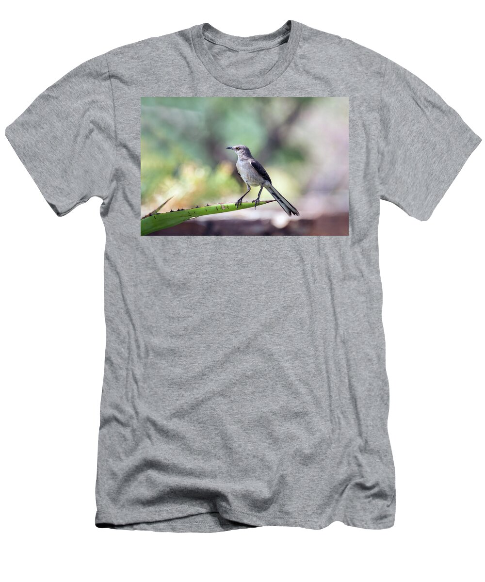 Mockigbird T-Shirt featuring the photograph Mockingbird 4210 by Tam Ryan