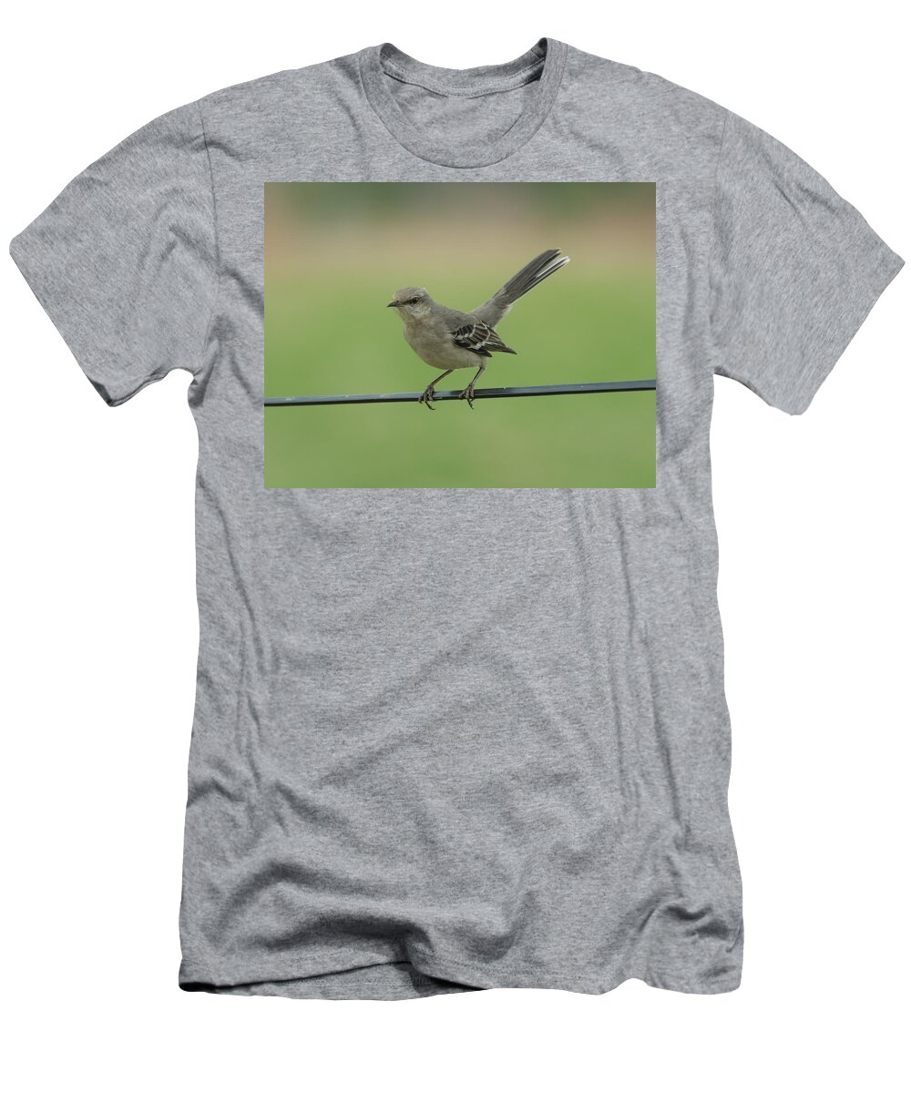 Jan T-Shirt featuring the photograph Mockingbird by Holden The Moment