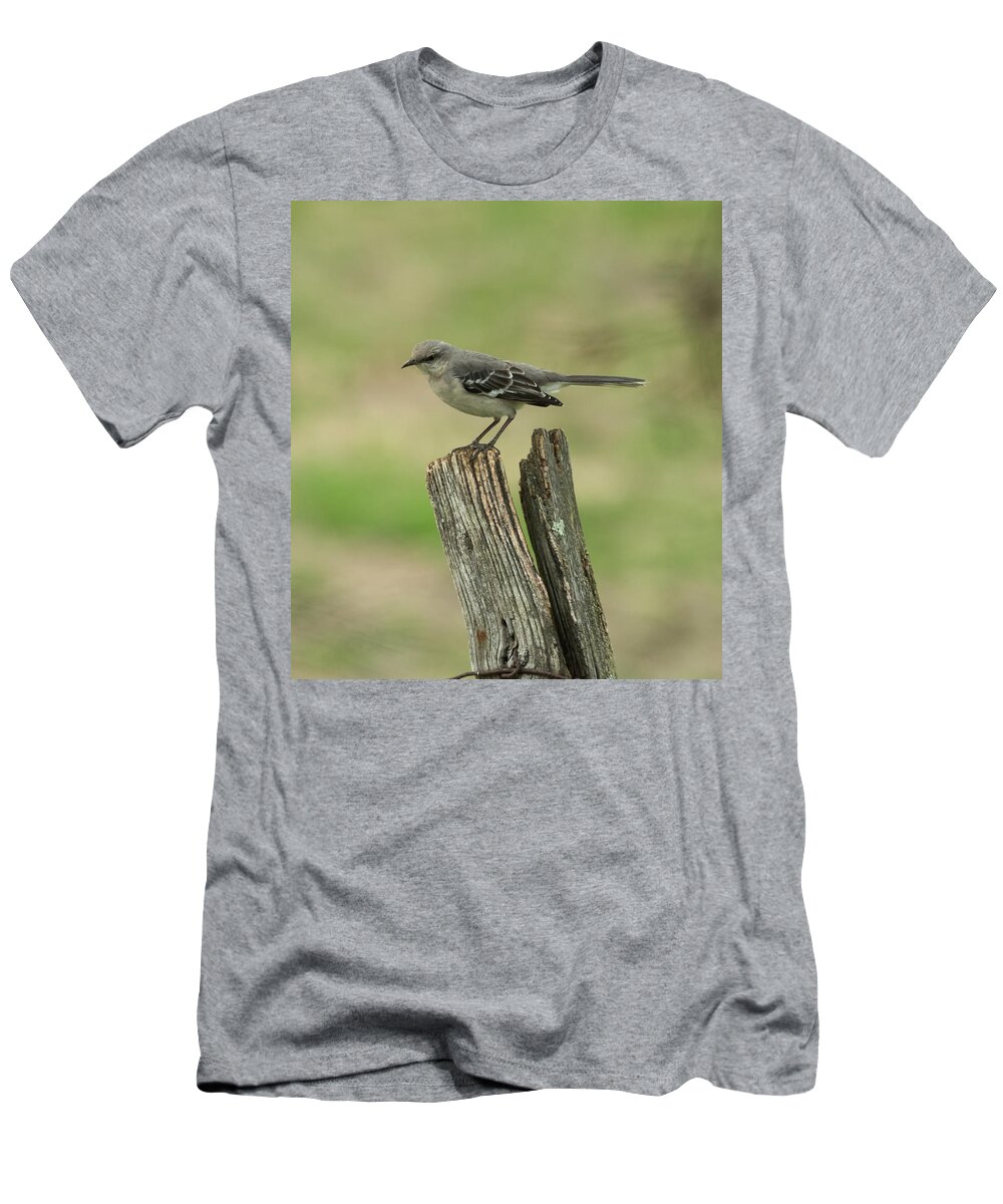 Jan Holden T-Shirt featuring the photograph Perched on an Old Fence by Holden The Moment