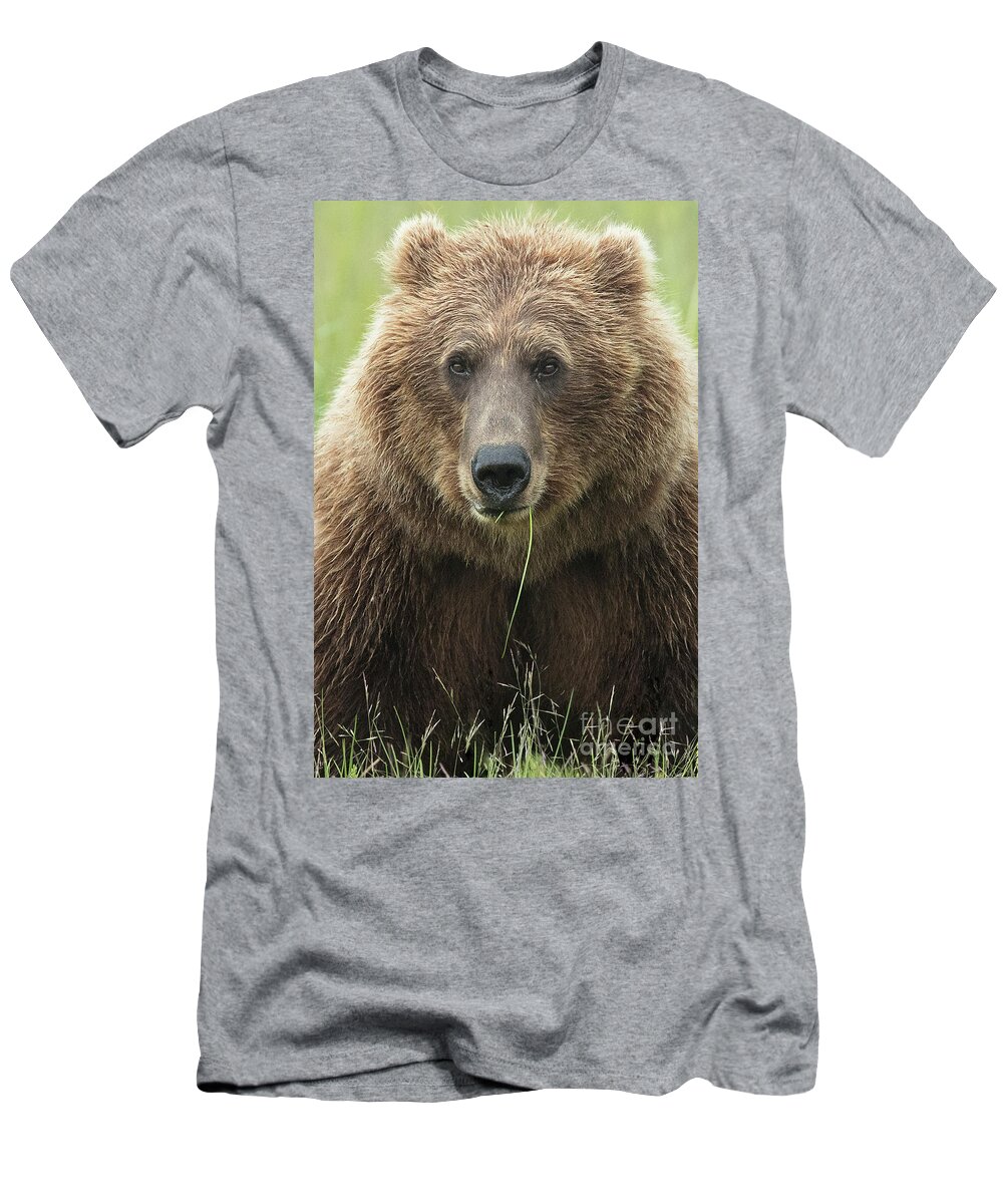 Animal T-Shirt featuring the photograph Momma Bear Close Up by Linda D Lester