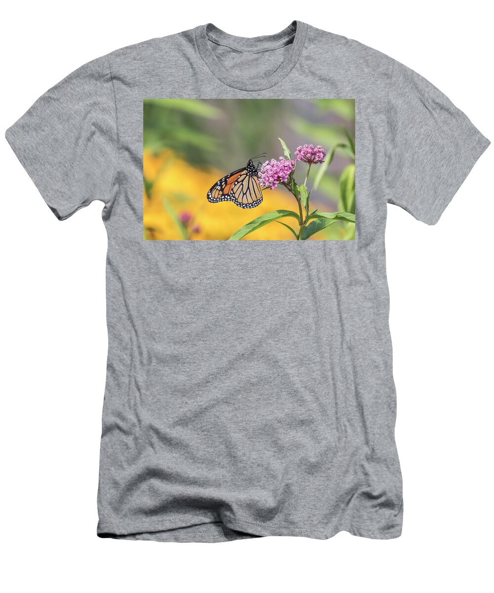 Monarch Butterfly T-Shirt featuring the photograph Monarch 2017-12 by Thomas Young