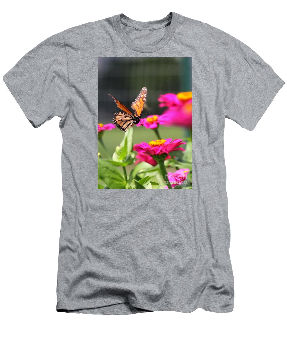 White T-Shirt featuring the photograph Monarch Approaching Zinnia 2 by Angela Rath
