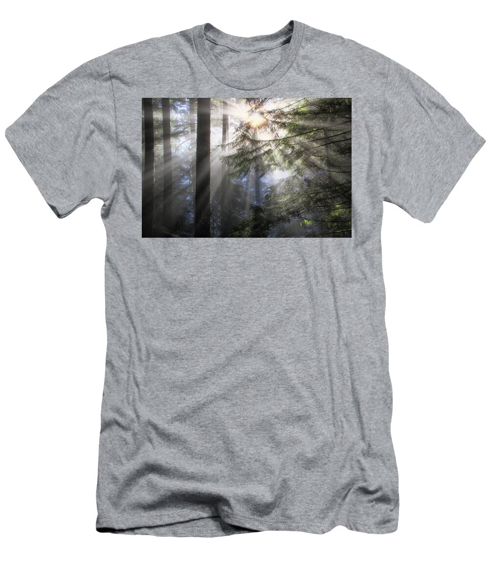 Branch T-Shirt featuring the photograph Morning Light by Nicki Frates