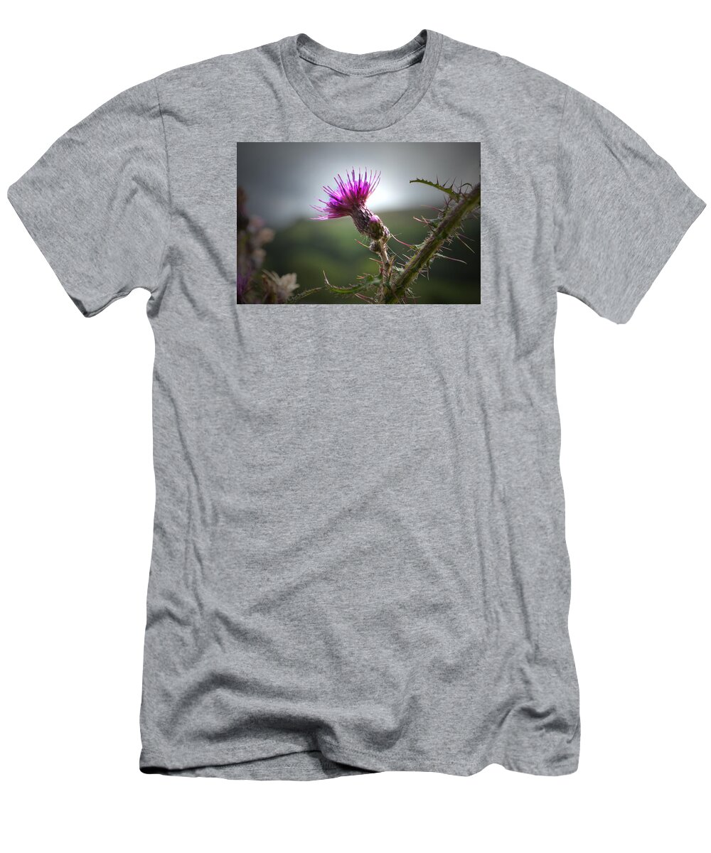 Thistle T-Shirt featuring the photograph Morning Purple Thistle. by Terence Davis